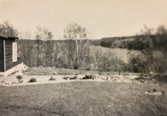 Udsigt over Buresø fra Plantagevej 10 i 1951